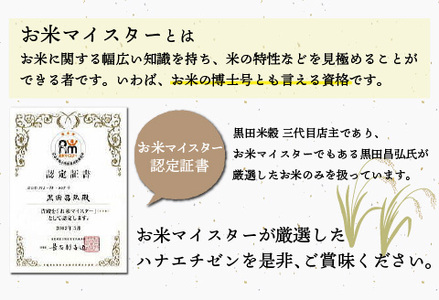 令和7年産 ハナエチゼン 10kg（5kg × 2袋）お米 ごはん