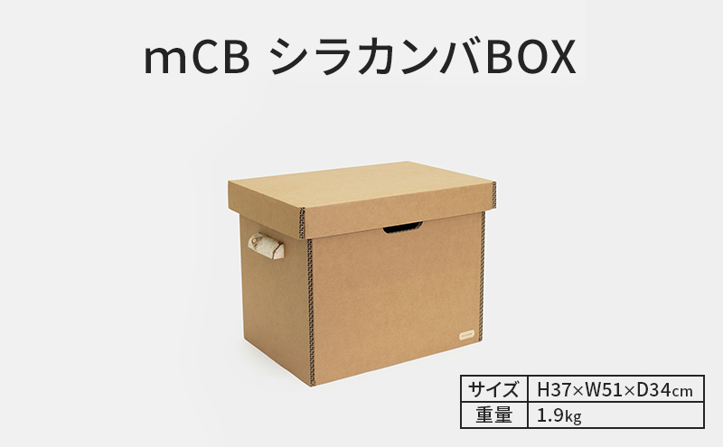 ｍCB シラカンバ BOX 19.2インチ _No.1604277