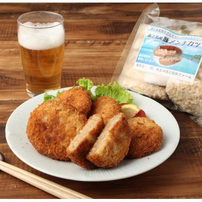 ふるさと納税 天城町 徳之島 豚メンチカツ 計20個 10個入り×2袋 豚肉 メンチカツ 唐辛子 ヤマシークニン |  | 03