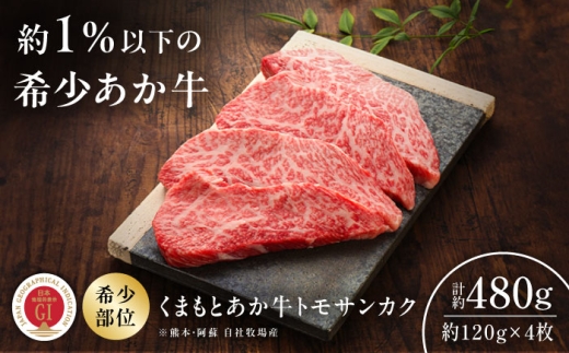 【GI認証】くまもとあか牛トモサンカク 約120g×4枚 / 熊本 あか牛 ステーキ 希少 BBQ バーベキュー お手軽 焼肉 霜降りおすすめ 人気 贅沢  トモサンカク  赤牛 あかうし 赤身 国産 ご褒美 ギフト 贈答品 贈り物 ステーキ肉 トモサンカク 菊陽 【有限会社 三協畜産】[BHAS016]