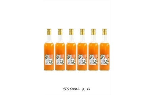 
            【定期便 （2カ月ごと全4回）】小田原産江之浦みかん１００％ストレートジュース５００ml６本
          