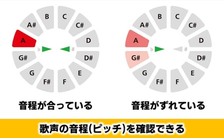 【Roland】ボーカルトレーナー/VT-12-BK【配送不可：離島】