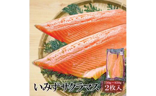 希少な高級魚 いみずサクラマス 切り身 2枚入(約750g～約850g)｜魚 鮭 切身 マス サーモン おつまみ 弁当 グルメ 食品 富山県 射水市 魚介類 魚貝類 シーフード 冷凍 切り身 真空パック 安心 安全 業務用 高級魚 桜色