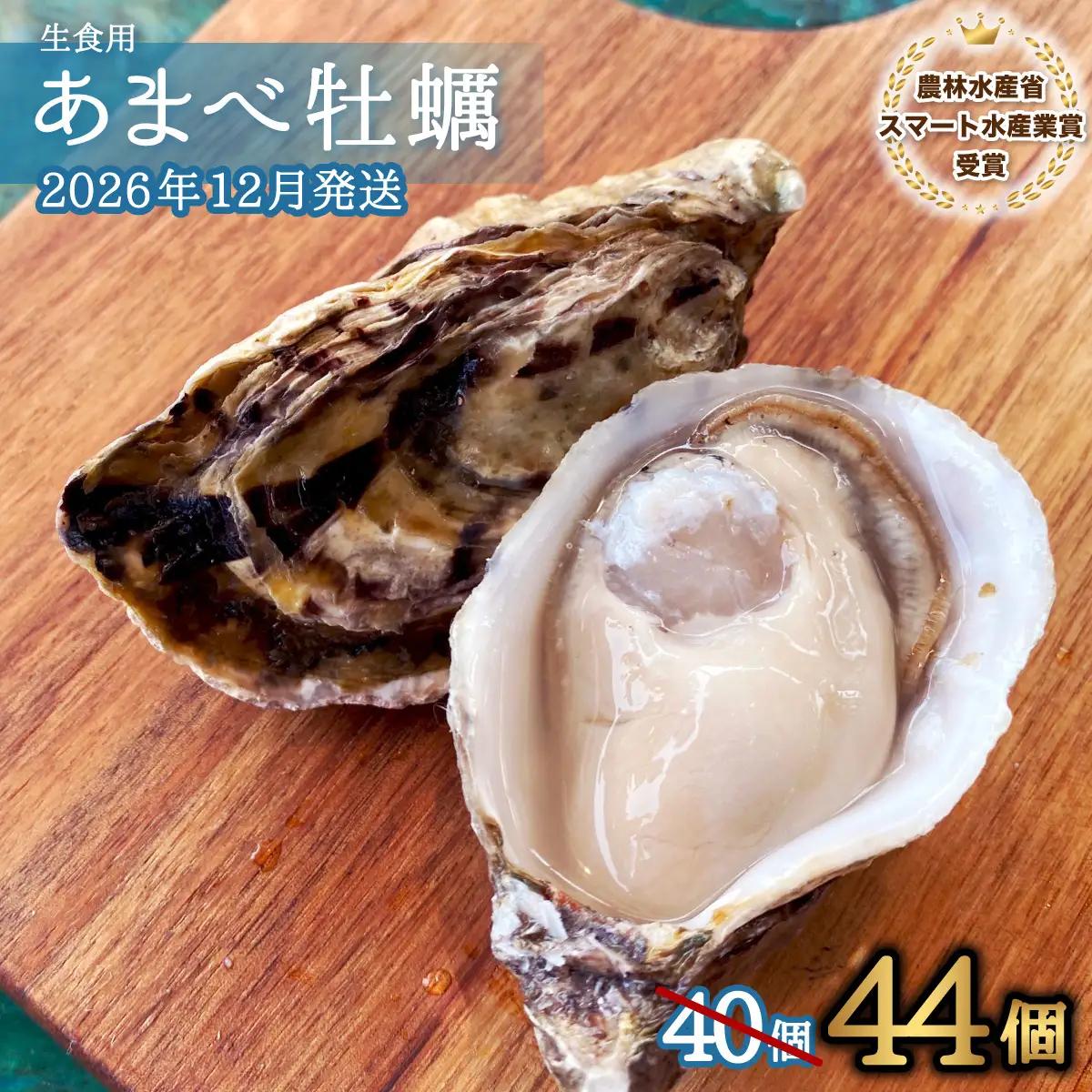 先行予約 あまべ牡蠣 44個 牡蠣 シングルシード 生食用 殻付き かき カキ オイスター 生ガキ 生牡蠣 生がき 生かき ギフト 貝 旨味 【2026年12月以降にお届け】