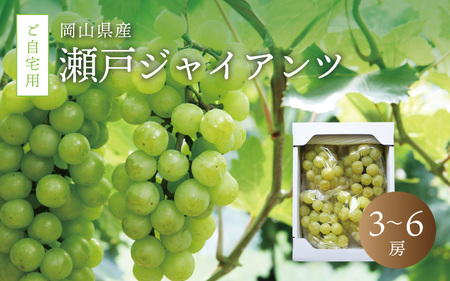 真庭市産 瀬戸ジャイアンツ 自宅用 3～6房 / 【2025年9月中旬以降発送予定】数量限定 ブドウ ぶどう お手頃 訳あり 岡山 真庭 瀬戸ジャイアンツ 葡萄 果物 フルーツ 新鮮 産地直送 家庭用 人気 種なし 【配送不可地域：北海道／沖縄県／離島】 (seto02) 【jujiya008】