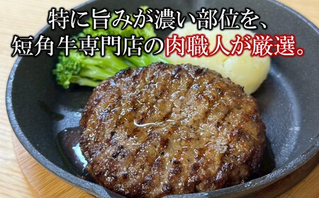 ハンバーグ 田村牧場 短角牛100%ハンバーグ 150g×6個