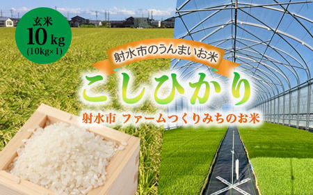 【射水市】【射水の美味しいお米】ファームつくりみちのお米 作道米 R8年度産こしひかり10kg（10kg×1）【玄米】 | 米 こめ コメ こしひかり ブランド米 銘柄米 人気 ランキング 富山 富山