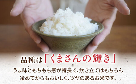 やまがシルク米 5kg【株式会社 あつまるホールディングス NSP山鹿工場】[ZBR040]