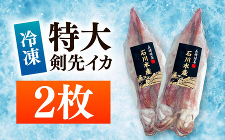 【特大】 剣先 イカ （ 生 冷凍 ）2枚 《対馬市》【石川水産】刺身 塩辛 鮮度抜群 海鮮[WAB027]