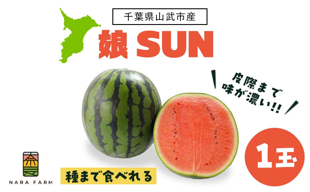 
                  【先行予約・2027年6月下旬頃より発送】娘SUN 1玉／ふるさと納税 人気 おすすめ ランキング 娘SUN1玉入り ぷちっと スイカ 西瓜 すいか 果物 フルーツ 国産 産地直送 甘い 野菜 千葉県 千葉県産 山武市 送料無料 SMAF007
                