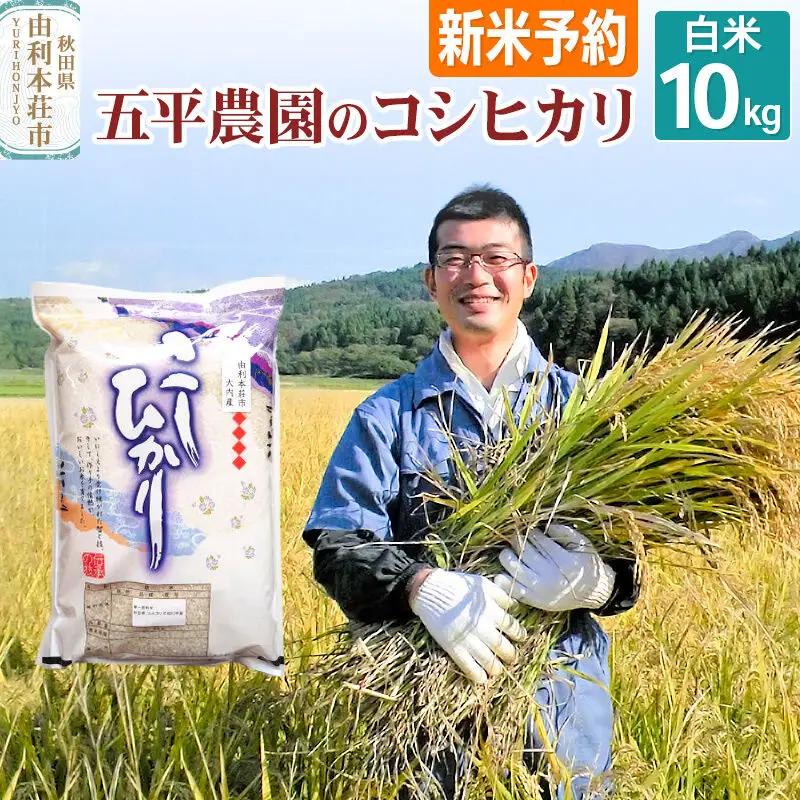 《令和8年産 新米受付》【白米】コシヒカリ 10kg 秋田県産 五平農園のコシヒカリ《12月上旬～12月下旬発送予定》