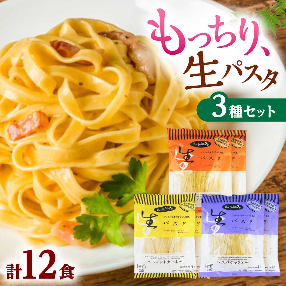 【ふるさと納税】【先行予約】【2025年10月発送】【数量限定30個】【ジャパンフードセレクション金賞・グランプリ受賞】 生パスタバラエティセット3種（各2袋×2食入）食べ比べ フィットチーネ リングイネ スパゲッティ 生パスタ 島根県雲南市/有限会社本田商店[AIDS005]