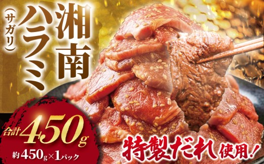 ハラミ タレ漬け 450g ( 約450g × 1 パック ) はらみ 厚み 牛 牛肉 肉 お肉 焼き肉 焼肉 味付けダレ さがり サガリ 牛肉ハラミ ビーフ ぎゅうにく おいしい やわらかい 美味 ハラミ 牛ハラミ 牛はらみ 焼肉ハラミ はらみ 肉 niku 小分け 5000円 大容量 個包装 簡単調理 BBQ おかず 冷凍 タカギフーズ 神奈川 湘南 藤沢