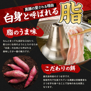 10営業日以内に発送 本枯れ鰹節使用の黄金だし付 そばつゆ仕立ての指宿産黒豚しゃぶ(バラとロース)セット 岡村商店 IB024-021 黒豚 黒豚