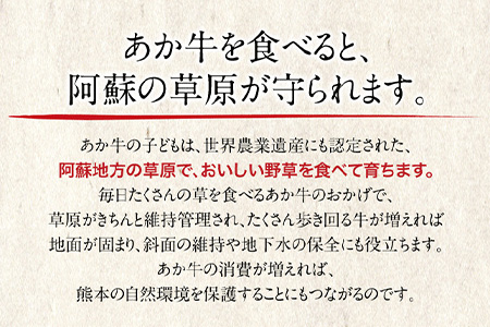 肥後のあか牛 焼き肉用 1000g 株式会社KAM Brewing《90日以内に出荷予定(土日祝除く)》 熊本県産 熊本県大津町