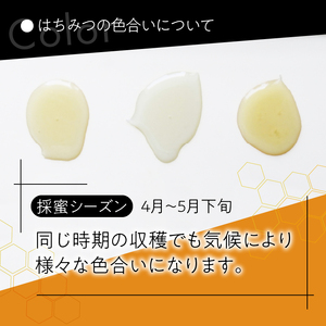 山梨県上野原市産 森のハチミツ 春の野花 （1kg×1本）