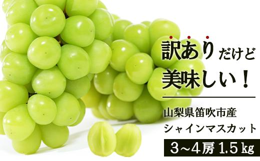 ＜25年発送先行予約＞訳あり　シャインマスカット1.5㎏ 154-044