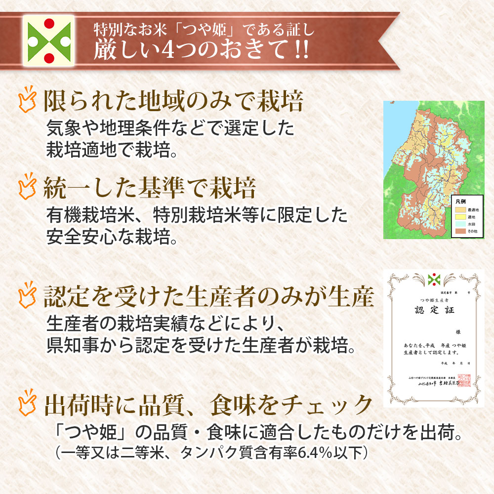 【令和7年産】【3ヶ月定期便】【新米】つや姫 無洗米 10kg (5kg×2袋) ×3回　(計30kg)  山形県庄内産　有限会社 阿部ベイコク