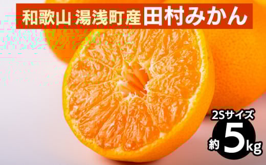 和歌山 湯浅町産 田村みかん 5kg【2Sサイズ】 ※2025年11月中旬～2026年1月中旬頃に順次発送予定