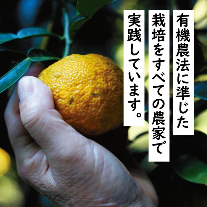 ポン酢 1000人の村/500ml×6本 ぽん酢 ゆずポン酢 ゆず ゆずぽん酢 柚子 調味料 有機 オーガニック 無添加 産地直送 プレゼント ギフト 贈り物 贈答用 お中元 お歳暮 父の日 母の日 