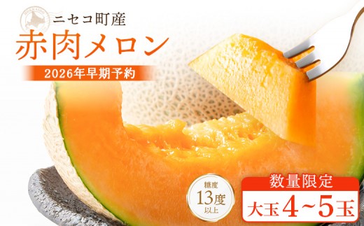 【北海道ニセコ町産】赤肉メロン4～5玉　＜数量限定・2026年早期予約・7月下旬より出荷予定＞【02038】