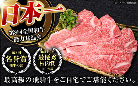 【3回定期】 「肉のキング」特選 飛騨牛 A5等級 ステーキ (サーロイン800g)[AVAG008]