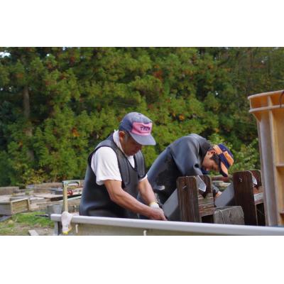 ふるさと納税 宮田村 宮田村産こだわりのヤマメ12匹セット(息吹館) |  | 01