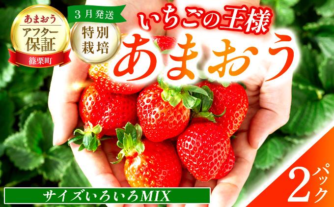 いちご 福岡県産 特別栽培 あまおう サイズいろいろMIX 約570g（約285g×2パック）【3月発送】　農園直送 アフター保証 先行予約 福岡産 送料無料 ケーキ ギフト お祝い 限定 季節限定 