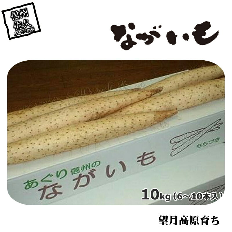 【ふるさと納税】長野県産 ながいも 約10kg 〈2025年12月1日出荷開始～2025年12月25日出荷終了〉| 長芋 長いも 高原野菜 信州佐久 土作りからこだわり 作物本来の美味しさを目指して栽培 長野県 佐久市 旬彩