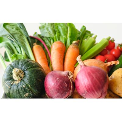 ふるさと納税 京都市 <3か月定期便>【緑のゆうき】京都産こだわりの野菜セット |  | 01