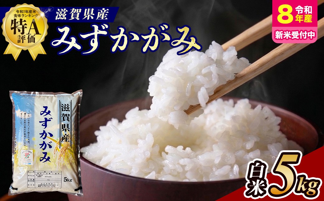 
                  【令和8年産 新米 先行予約】近江米みずかがみ 5kg（精米）※2026年9月～発送
                
