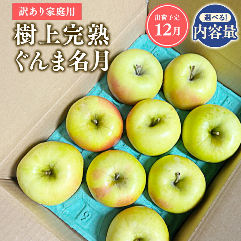 【ふるさと納税】≪令和7年産先行受付≫青森県産 家庭用 樹上完熟 ぐんま名月 約2kg 約3kg 約5kg【青森県 平川市 山内ファーム】家庭用 平川市産 青森りんご りんご リンゴ 林檎 完熟 群馬名月 名月 お取り寄せ 先行予約 果物 くだもの フルーツ レビューキャンペーン