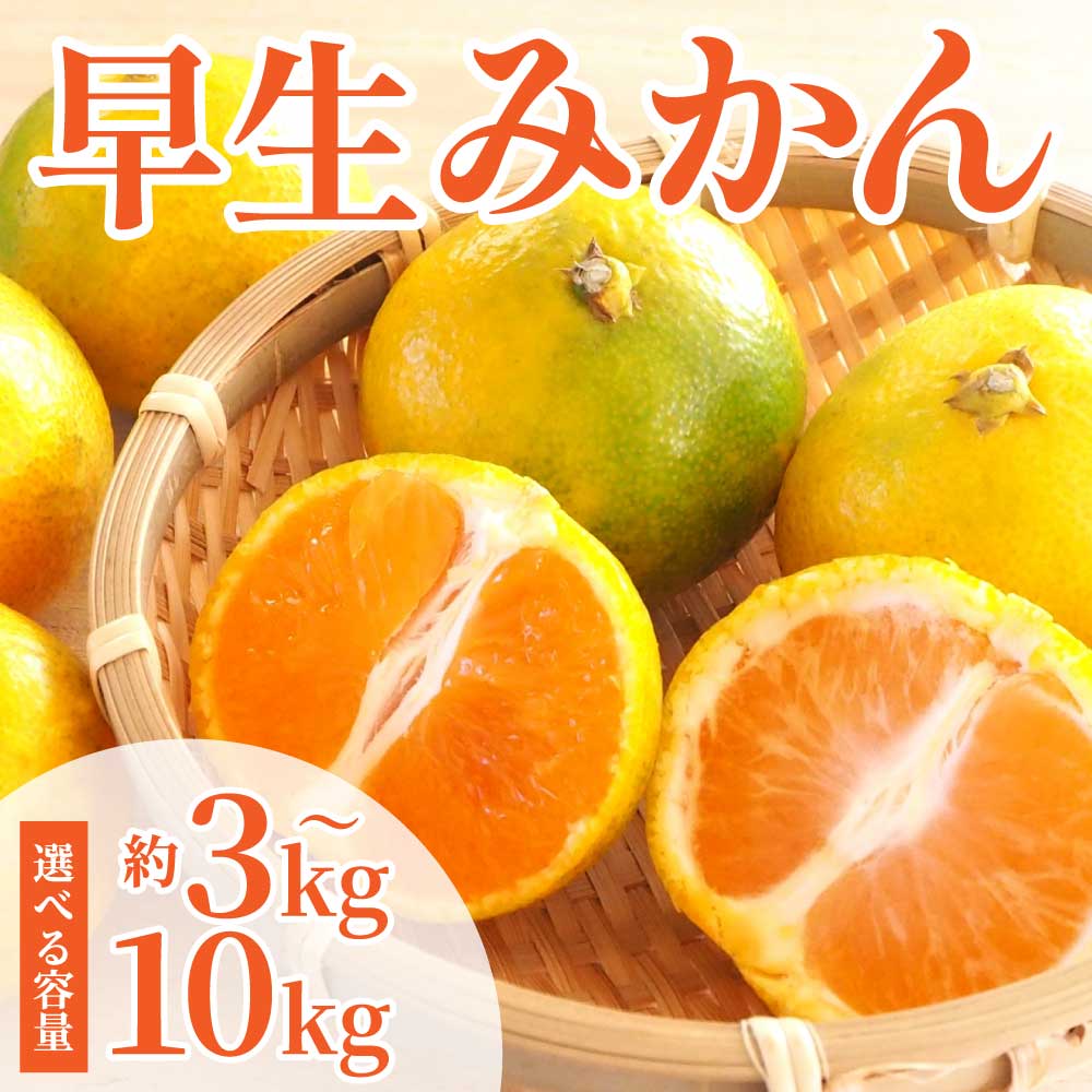 【ふるさと納税】 先行予約 早生みかん 選べる容量 約3kg 約5kg 約10kg（2S～2L） 【2026年11月上旬～2026年11月下旬発送予定】みかん ミカンフルーツ 果物 柑橘 かんきつ 蜜柑 熊本県 熊本 九州 宇城市 国産 高糖度 甘い ジューシー 果汁 酸味 日本フルーツ