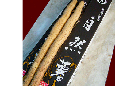  おおい町特産 自然薯 0.7kg～0.9kg