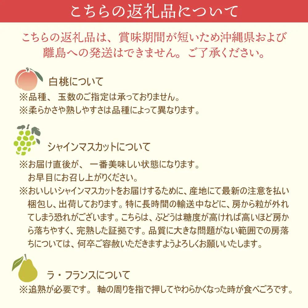 定期便 3回 マスカット入り 旬のフルーツ 定期便 令和8年産 フルーツ