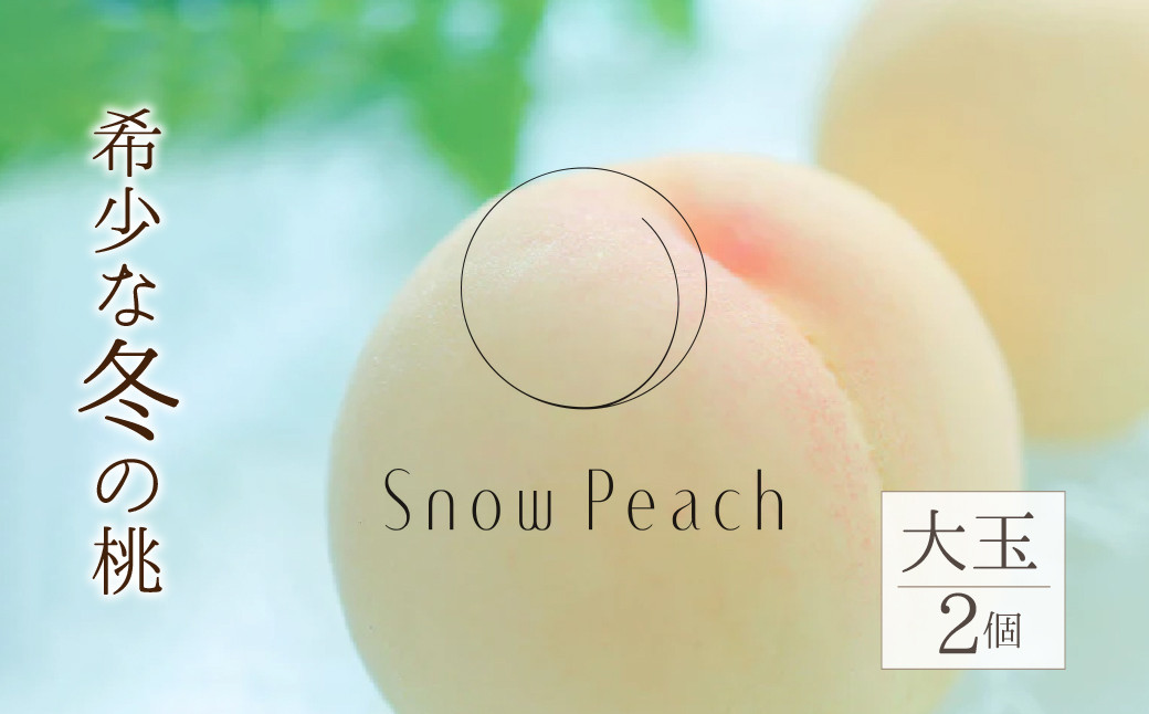 
            ＜25年11月発送先行予約＞Snow Peach （大玉2個入）　208-001
          