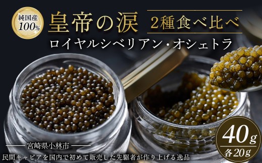 【純国産キャビア】皇帝の涙 2種食べ比べセット 40g（ロイヤルシベリアンキャビア・オシェトラキャビア） 国産 キャビア チョウザメ 宮崎 小林市 食べ比べ