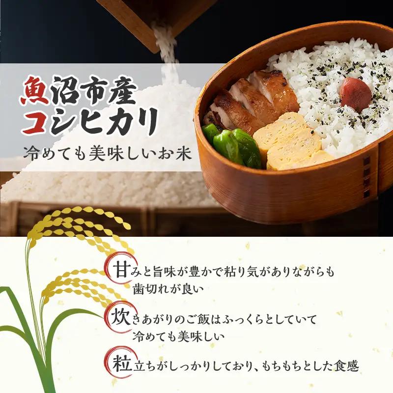 【先行予約 令和8年産】 雪国逸品 無洗米2kg 越後魚沼郷    魚沼産コシヒカリ