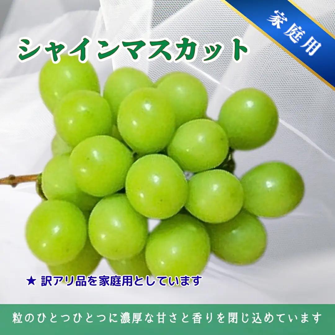 【2026年先行予約】家庭用 シャインマスカット＆クイーンルージュ® 約2kg(3~5房)｜ シャインマスカット