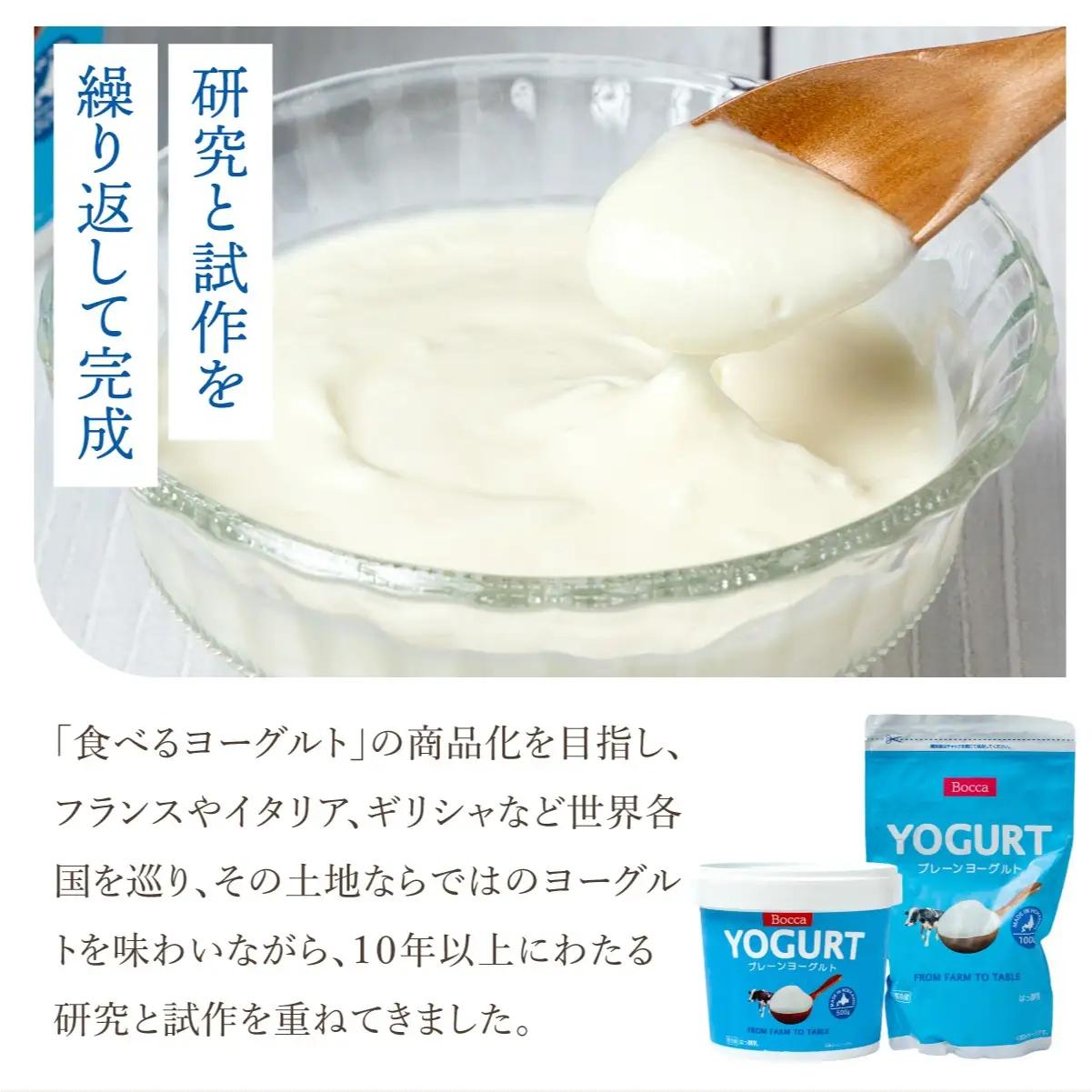 北海道 牧家 Bocca ヨーグルト 500g 6個 計3.0kg【55251206】