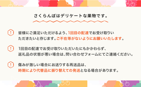 先行予約 さくらんぼ 佐藤錦 赤秀 M玉200g×4パック 2025年産 令和7年産 山形県産 mm-snpmx800