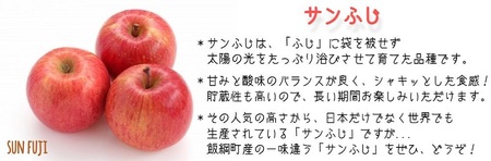 サンふじ ＆ ゴールド 2種類 詰め合わせ 家庭用 5kg ヤマウラ農園 沖縄県への配送不可 2026年11月中旬頃から2026年11月下旬頃まで順次発送予定 令和8年度収穫分 信州 果物 フルーツ 