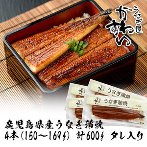 ＜うなぎ屋かわすい＞鹿児島県産 国産 うなぎ 蒲焼 タレ 鰻 うな重 かばやき 計600g 以上 150～169g×4本【川口水産】A856