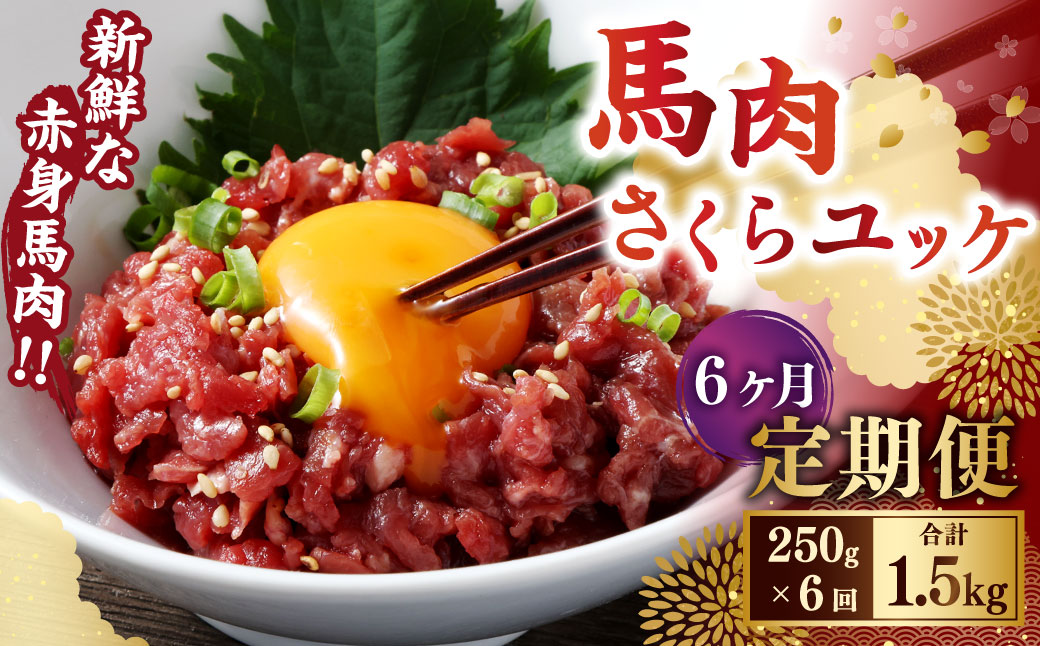 【6ヶ月定期便】 馬肉さくらユッケ250g（50g×5パック） 合計1.5kg 馬刺 馬刺し おつまみ