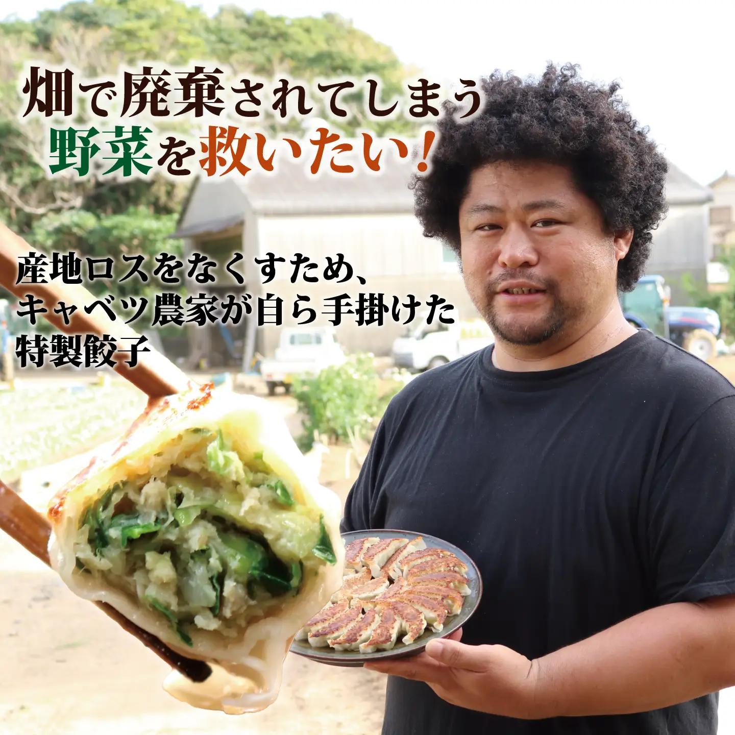 餃子 きゃべつ餃子 480個