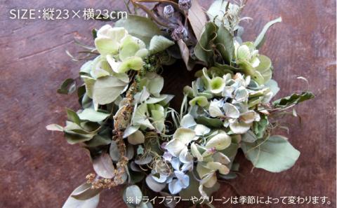 【お中元対象】ドライフラワーリース ≪糸島≫【PLAISIR】花/部屋飾り/装飾/緑/インテリア/アレンジメント [ANC001]
