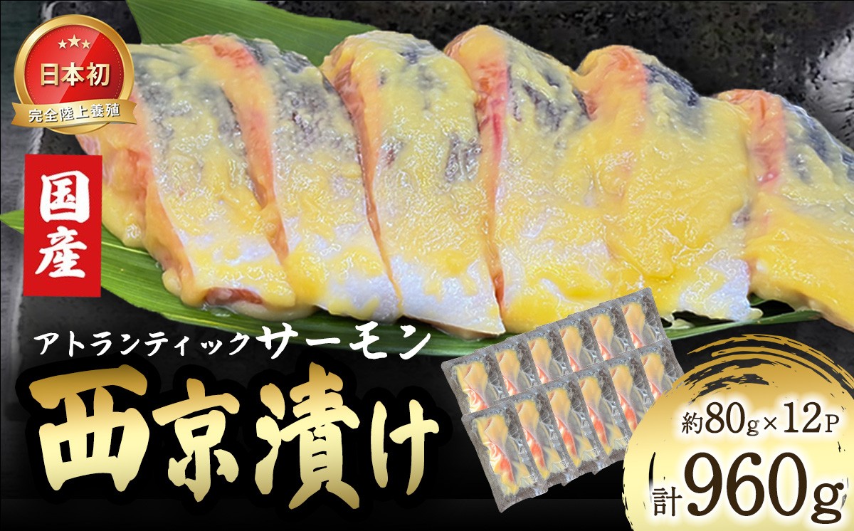 小山町産アトランティックサーモン追い麹西京漬け 12P | サーモン 小分け 真空パック 海鮮 魚介 西京漬け 味噌漬け みそ漬け 国産 鮭 しゃけ サケ 養殖 大容量 静岡県 小山町