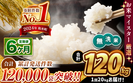  令和7年産 新米  【定期便6回】 熊本県産 ほたるの灯り 無洗米 20kg | 小分け 5kg × 4袋  熊本県産 こめ 米 無洗米 ごはん 銘柄米 ブランド米 単一米 人気 日本遺産 菊池川流域 こめ作り ごはん ふるさと納税 返礼品無洗米無洗米