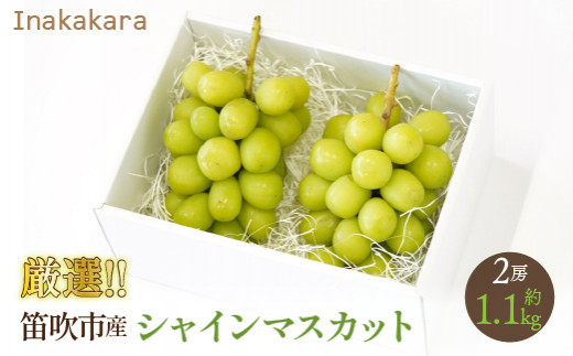 【2026年発送★先行予約】Inakakara厳選！笛吹市産シャインマスカット2房（約1.0~1.1kg） 192-015-26y