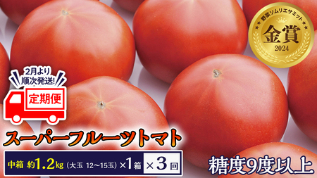 糖度9度以上 トマト 【 2025年収穫分 先行予約 】 【 定期便 】 スーパーフルーツトマト 中箱 約1.2kg×1箱×3回 お届け！ 糖度9度以上 フルーツトマト トマト 2025年2月上旬発送開始 とまと 野菜 [BC049sa]